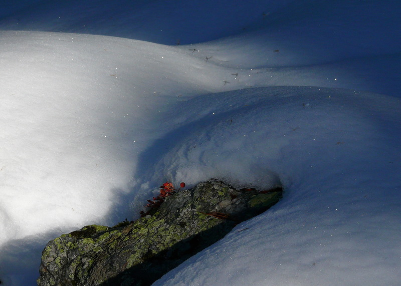 come neve al sole